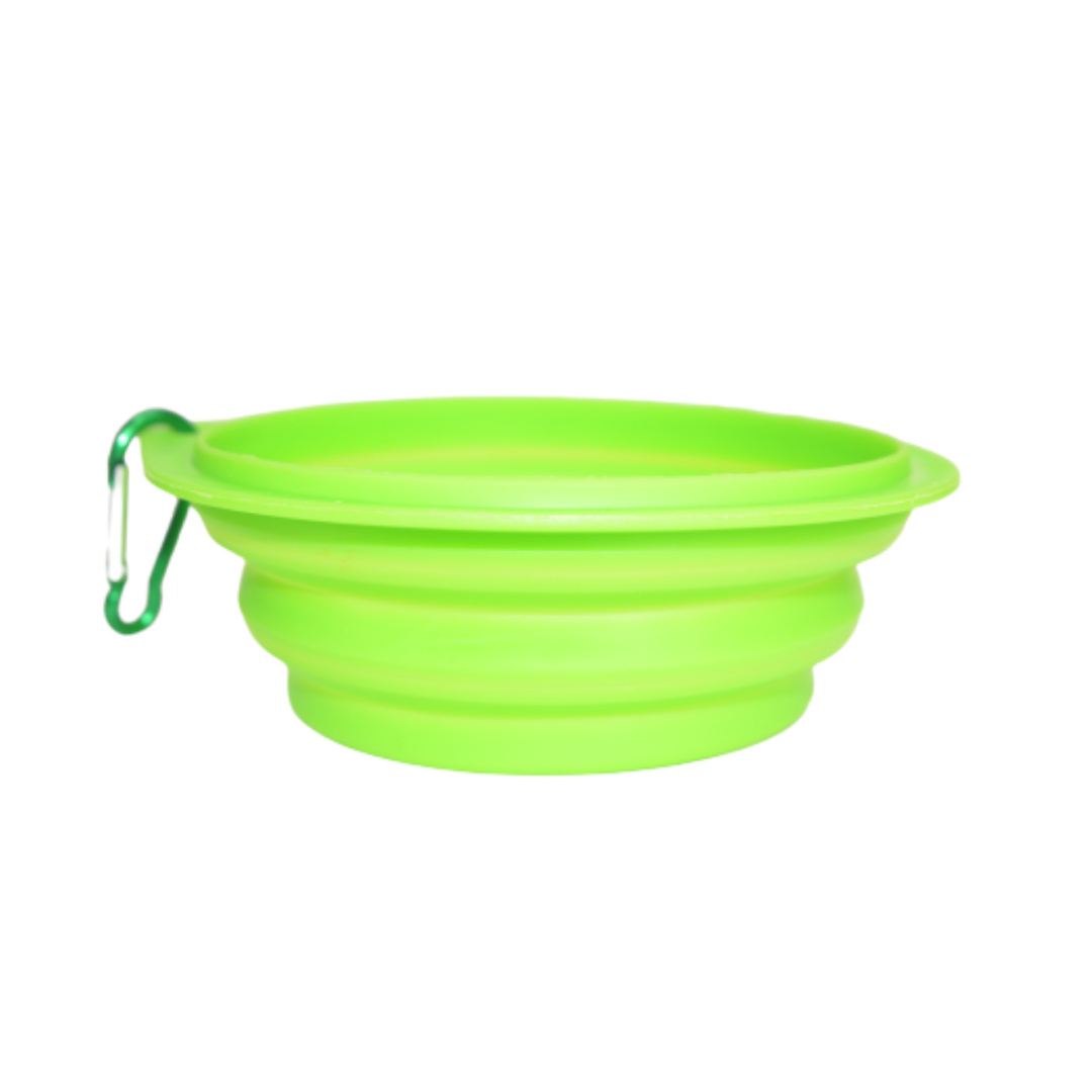 Plato para Paseo Portátil 15 cm de diámetro