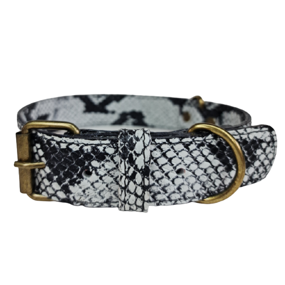 Collar de Cuero para perros - Serpiente Blanco y Negro hebilla envejecida