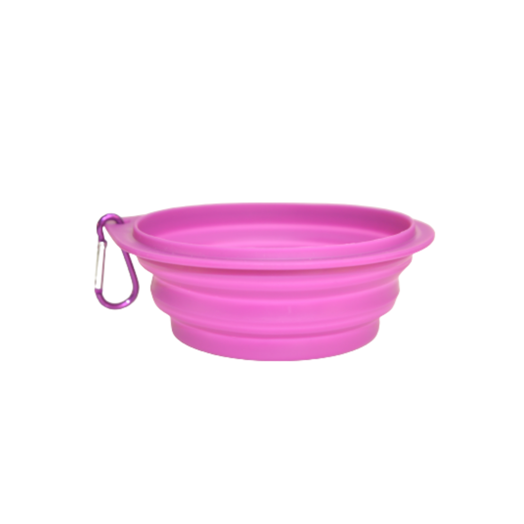 Plato para Paseo Portátil 15 cm de diámetro