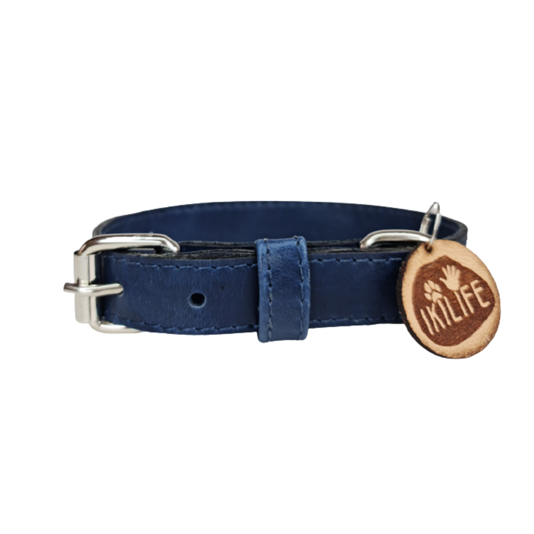 Collar de Cuero para perros - Azúl hebilla nickel