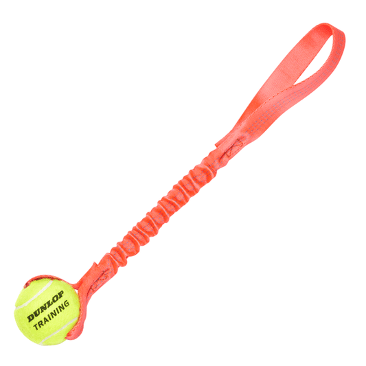 Juguete Tennis ball bungee tug