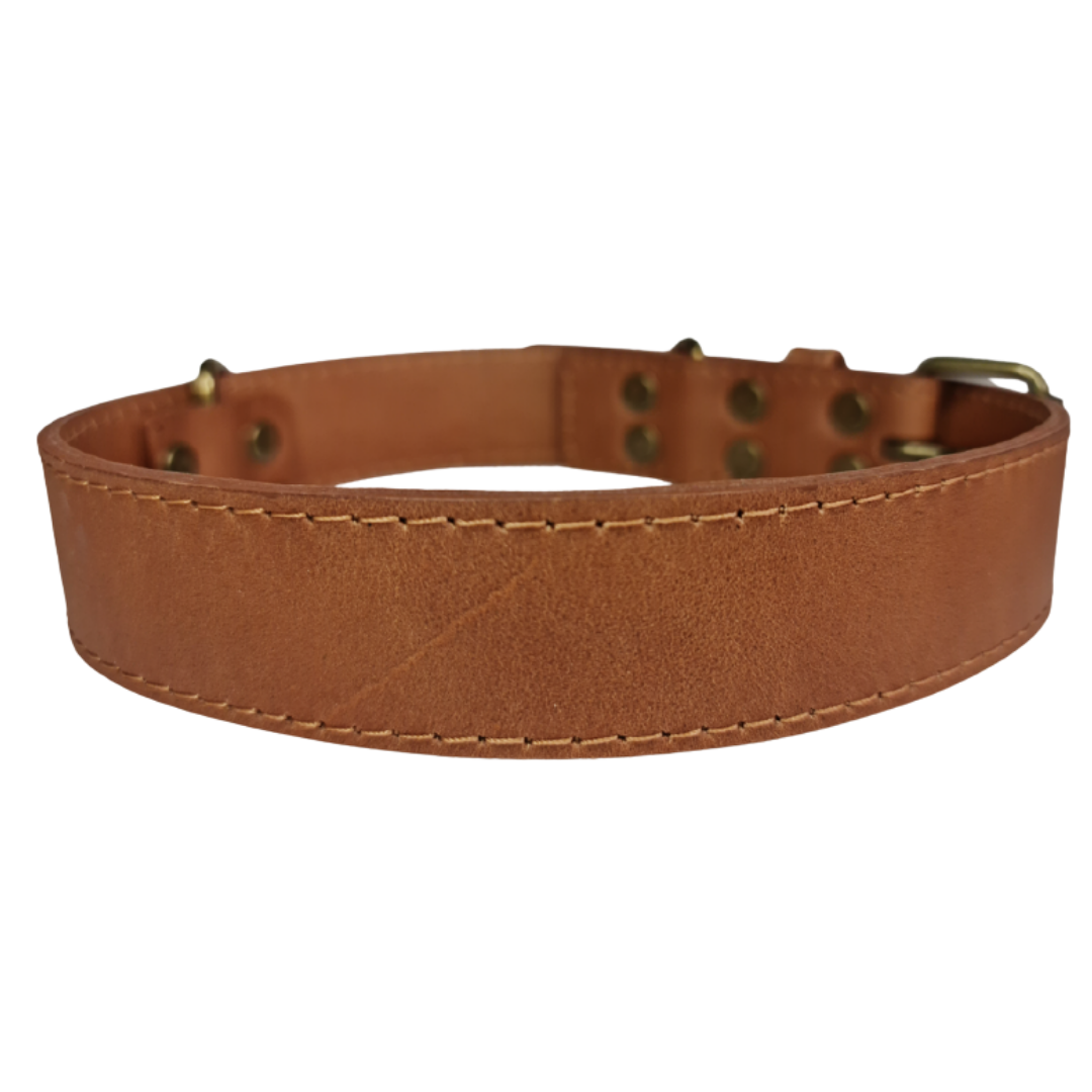 Collar de Cuero para perros - Camel hebilla envejecida