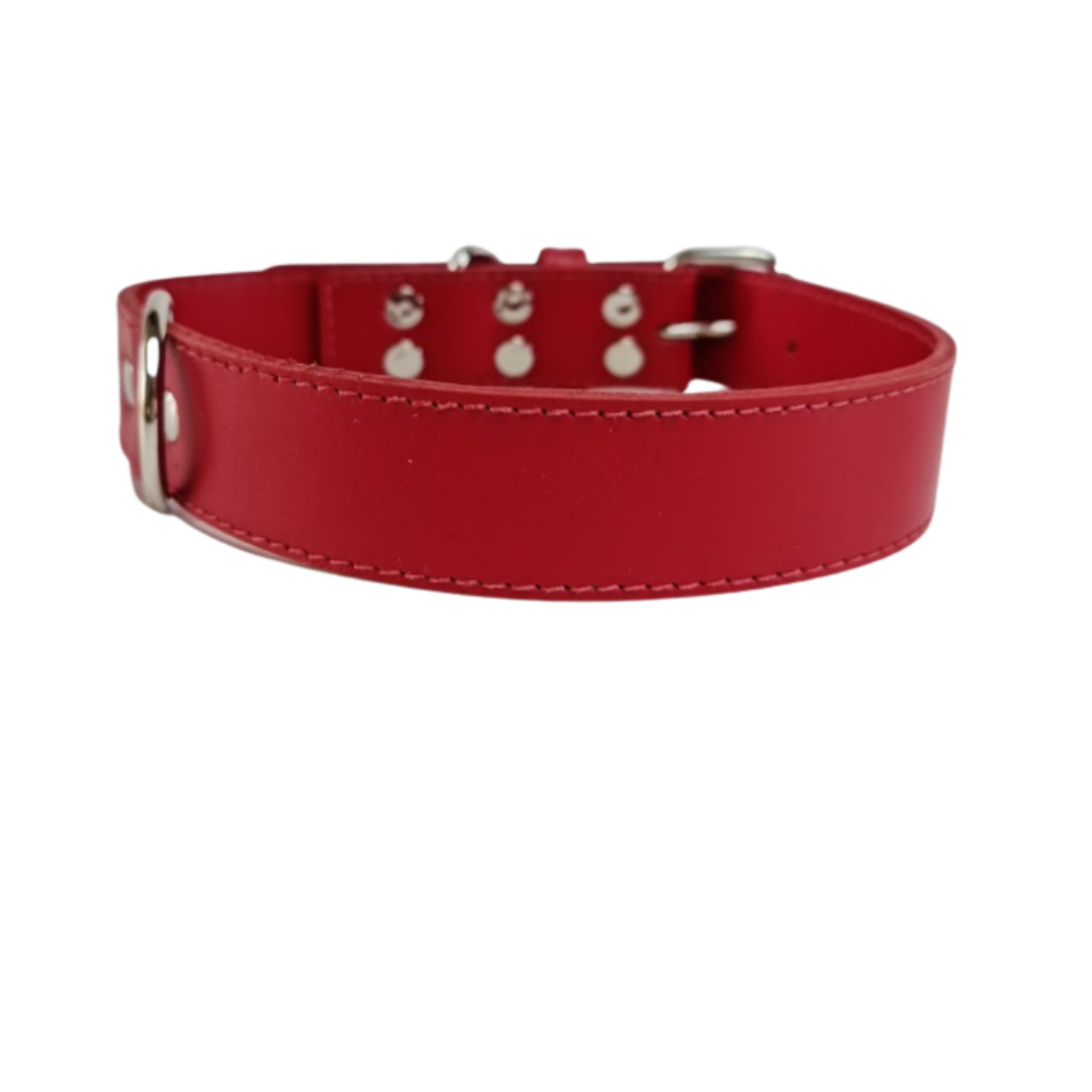 Collar de Cuero para perros - Rojo Liso hebilla nickel