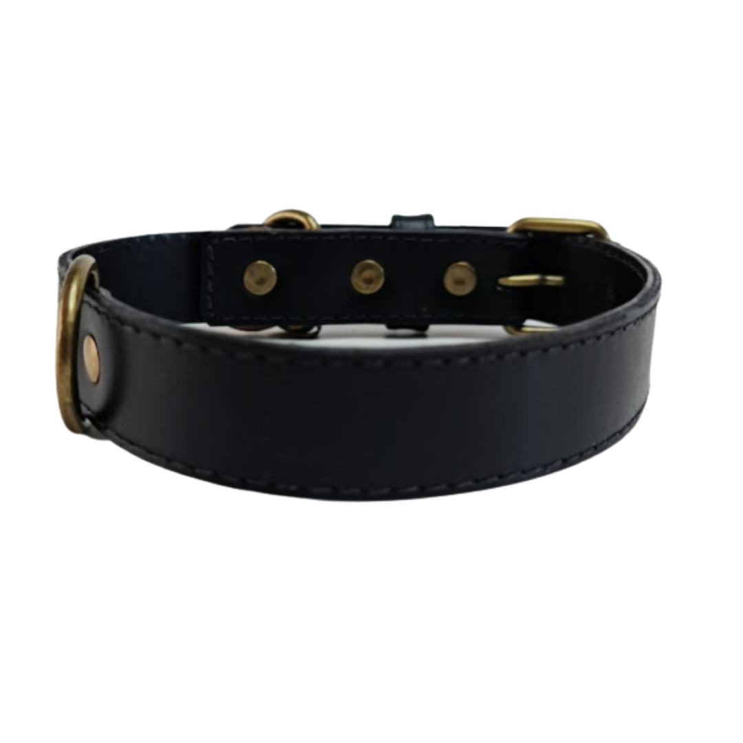 Collar de Cuero para perros - Negro liso hebilla envejecida