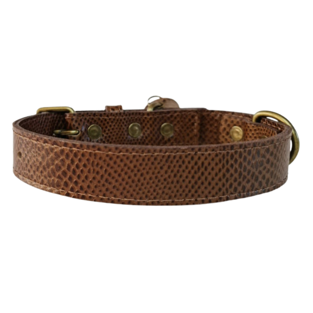 Collar de Cuero para perros - Café hebilla envejecida