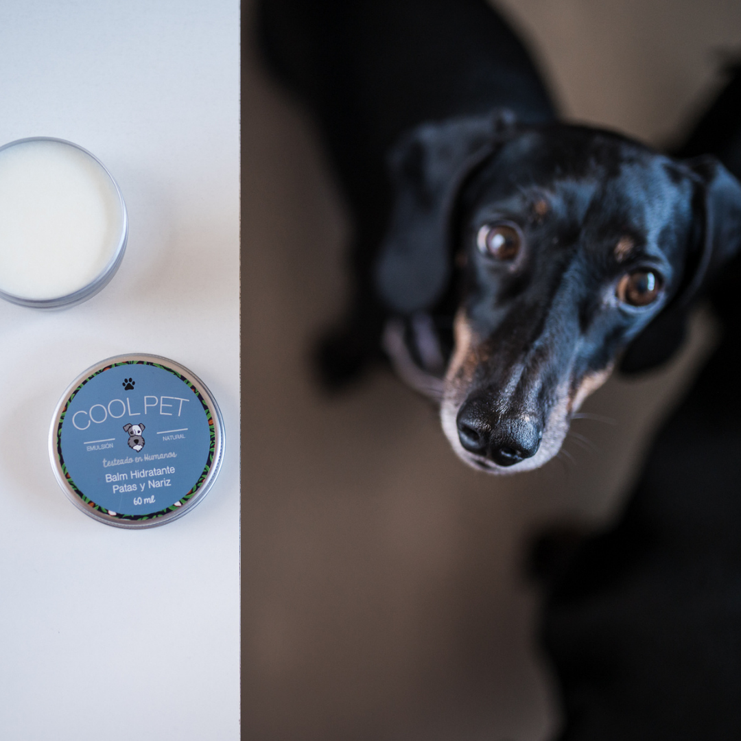 Balm Hidratante de Karité