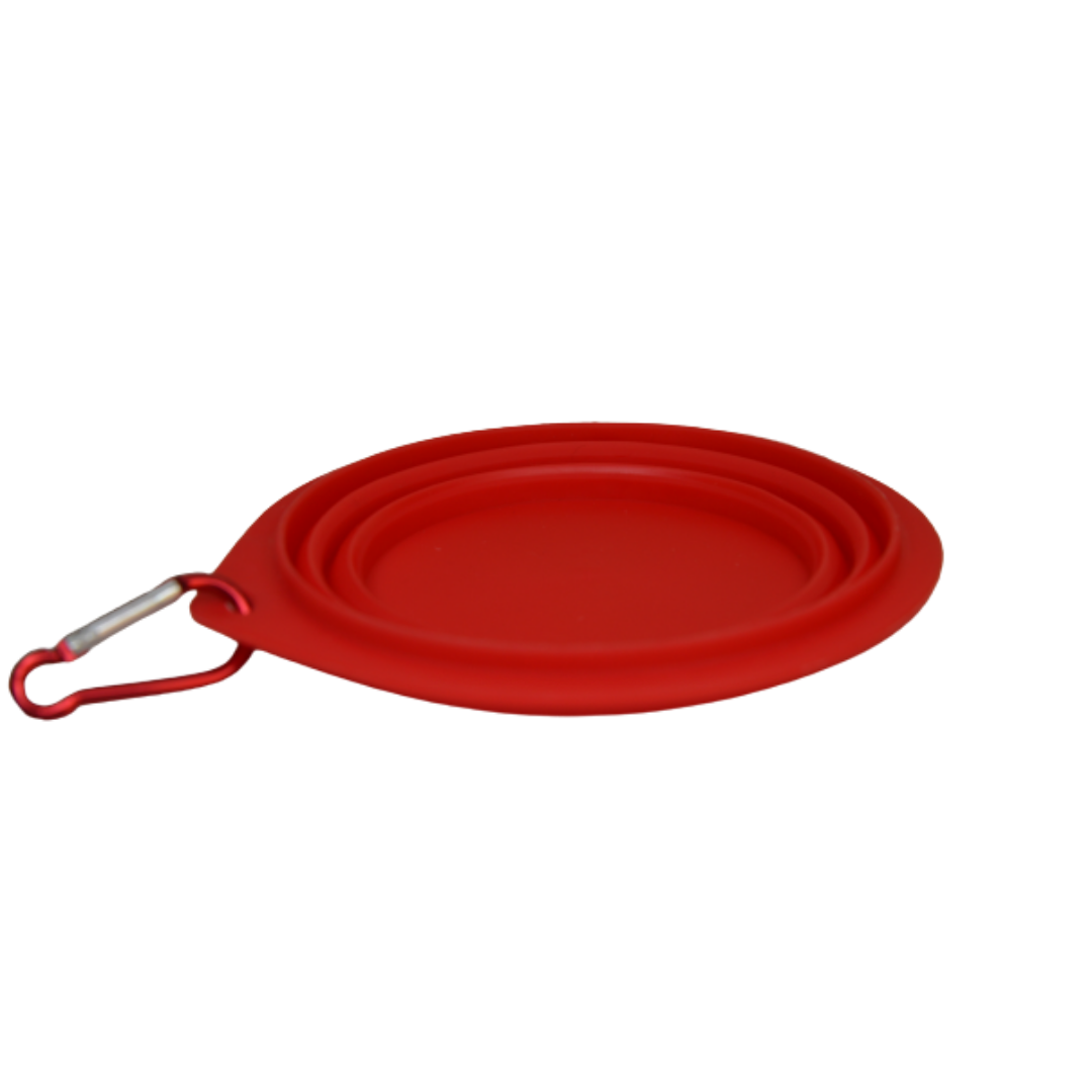 Plato para Paseo Portátil 15 cm de diámetro