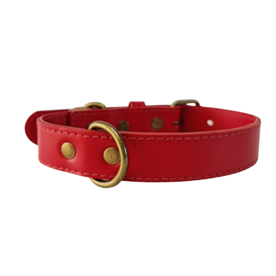 Collar de Cuero para perros - Rojo Liso hebilla envejecida