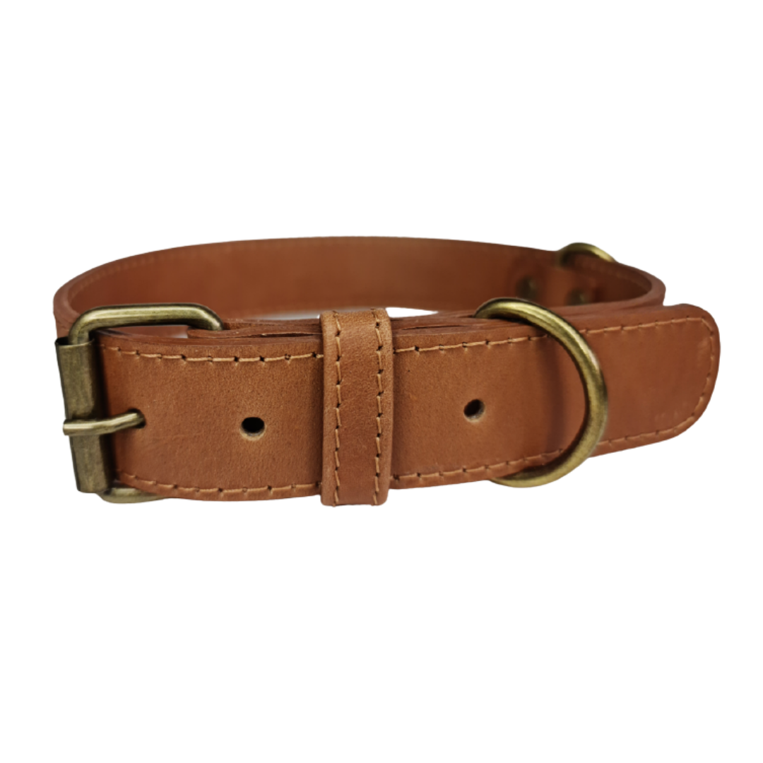 Collar de Cuero para perros - Camel hebilla envejecida