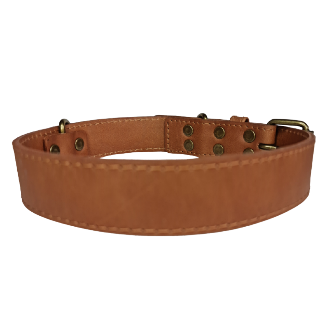 Collar de Cuero para perros - Camel hebilla envejecida