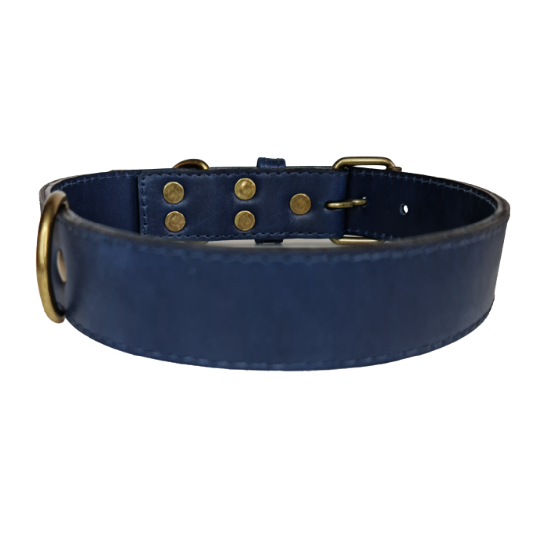 Collar de Cuero para perros - Azúl hebilla envejecida