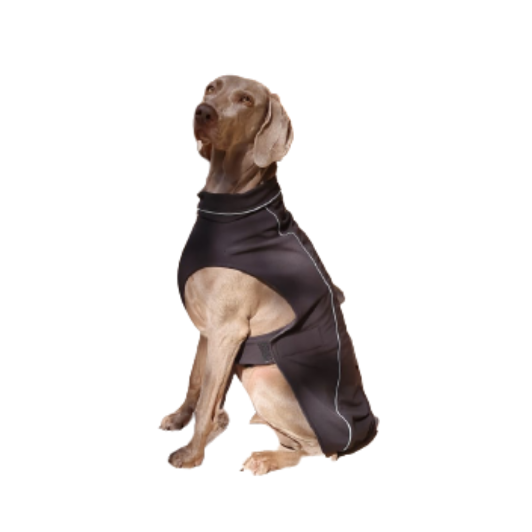 Parka Impermeable Térmica Ajustable - L