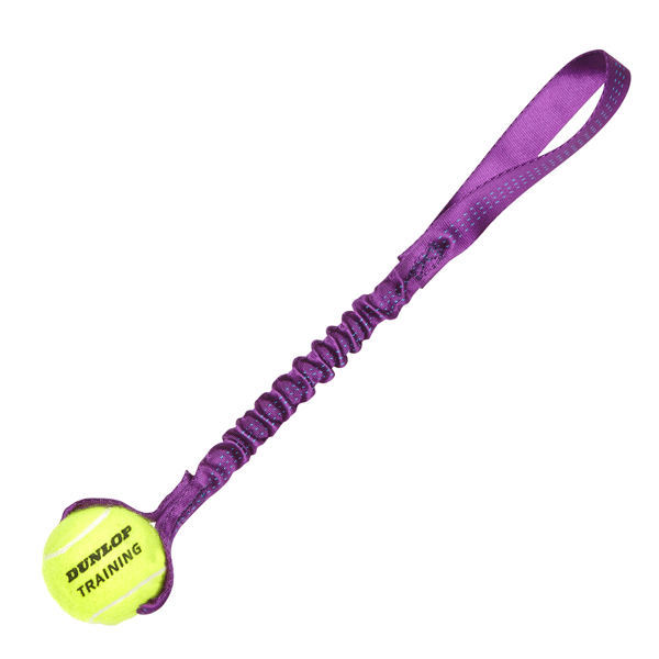 Juguete Tennis ball bungee tug