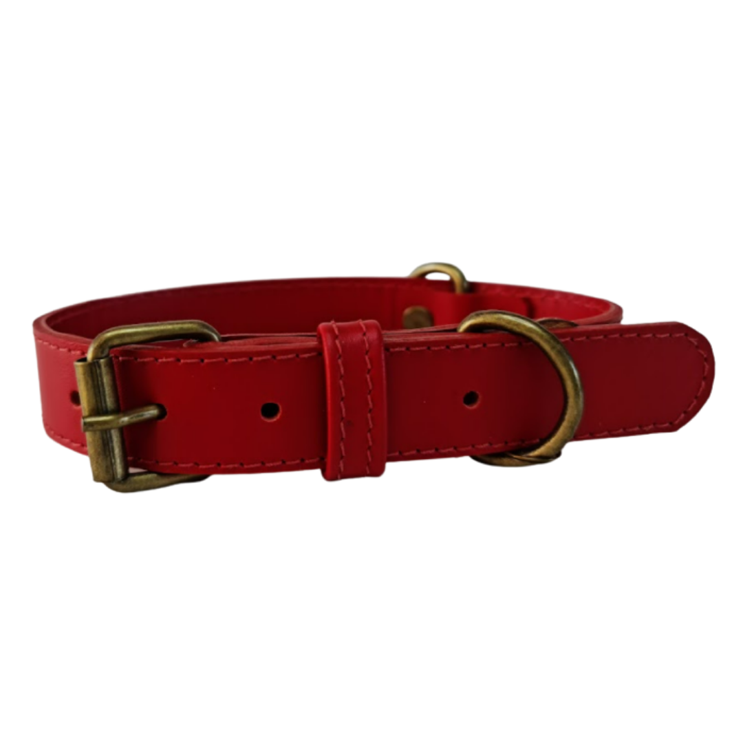 Collar de Cuero para perros - Rojo Liso hebilla envejecida