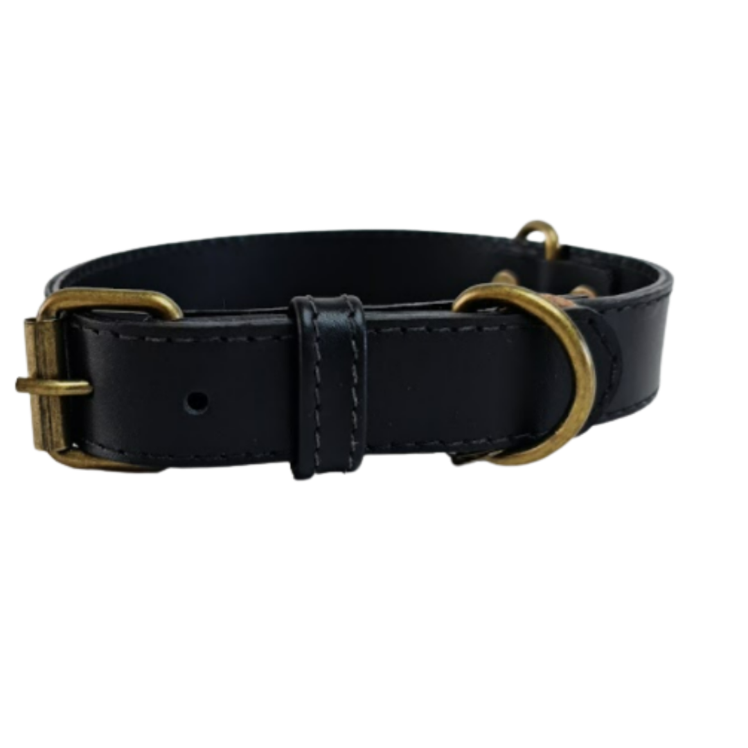 Collar de Cuero para perros - Negro liso hebilla envejecida
