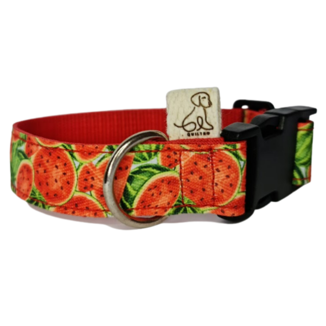 Collar Estmapado - Sandía