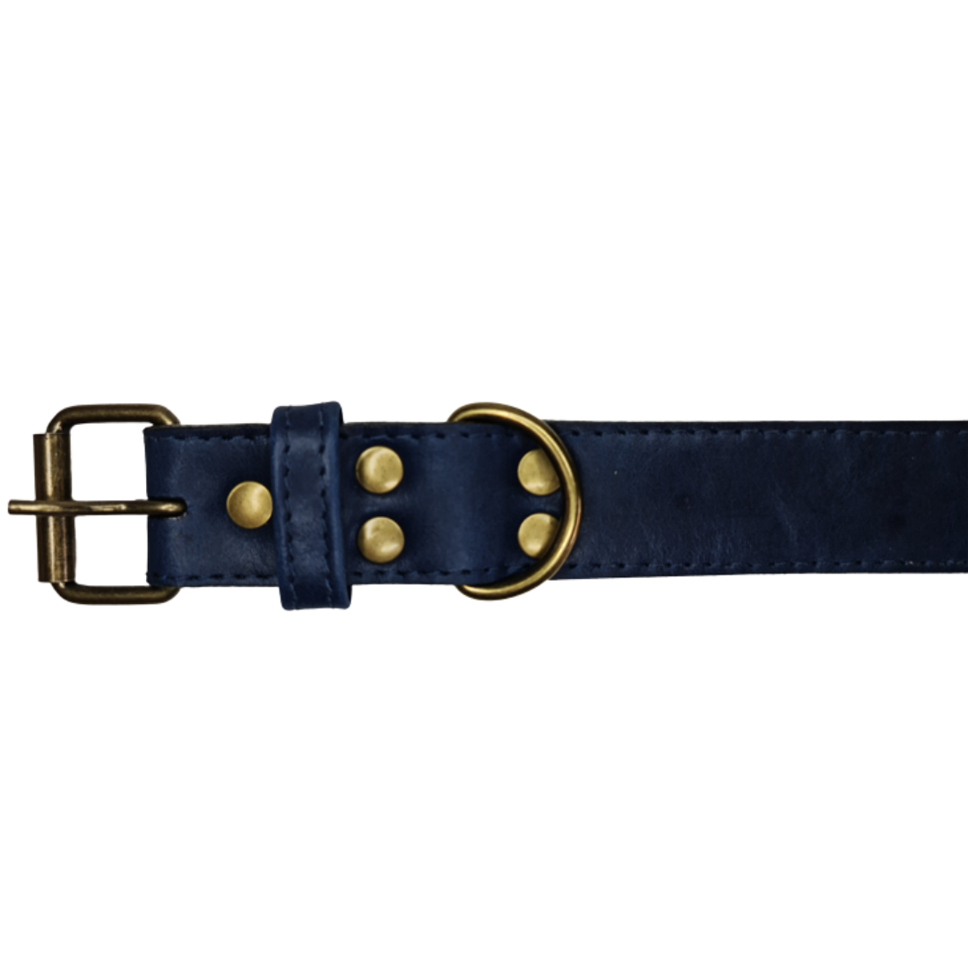 Collar de Cuero para perros - Azúl hebilla envejecida