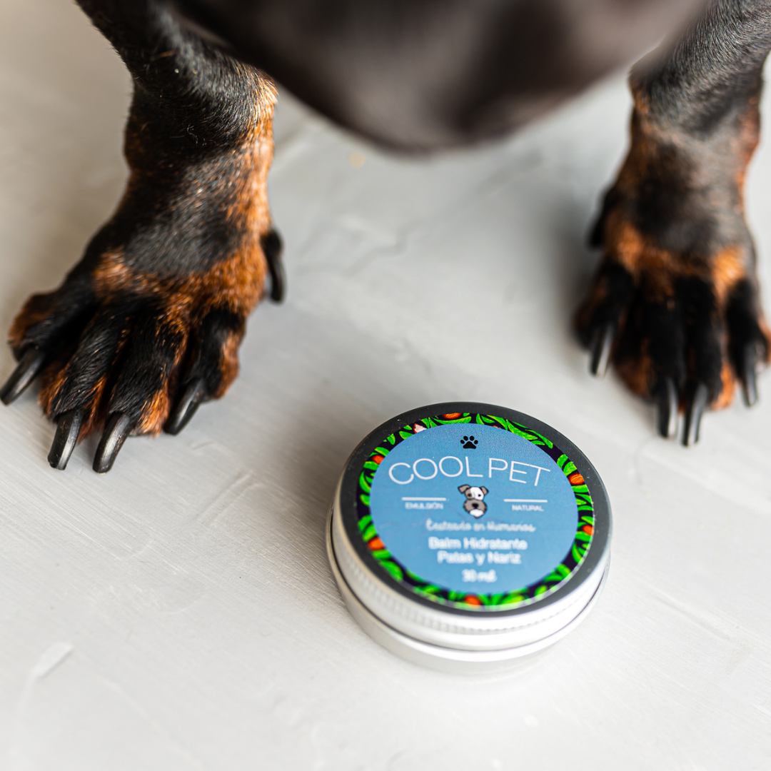 Balm Hidratante de Karité