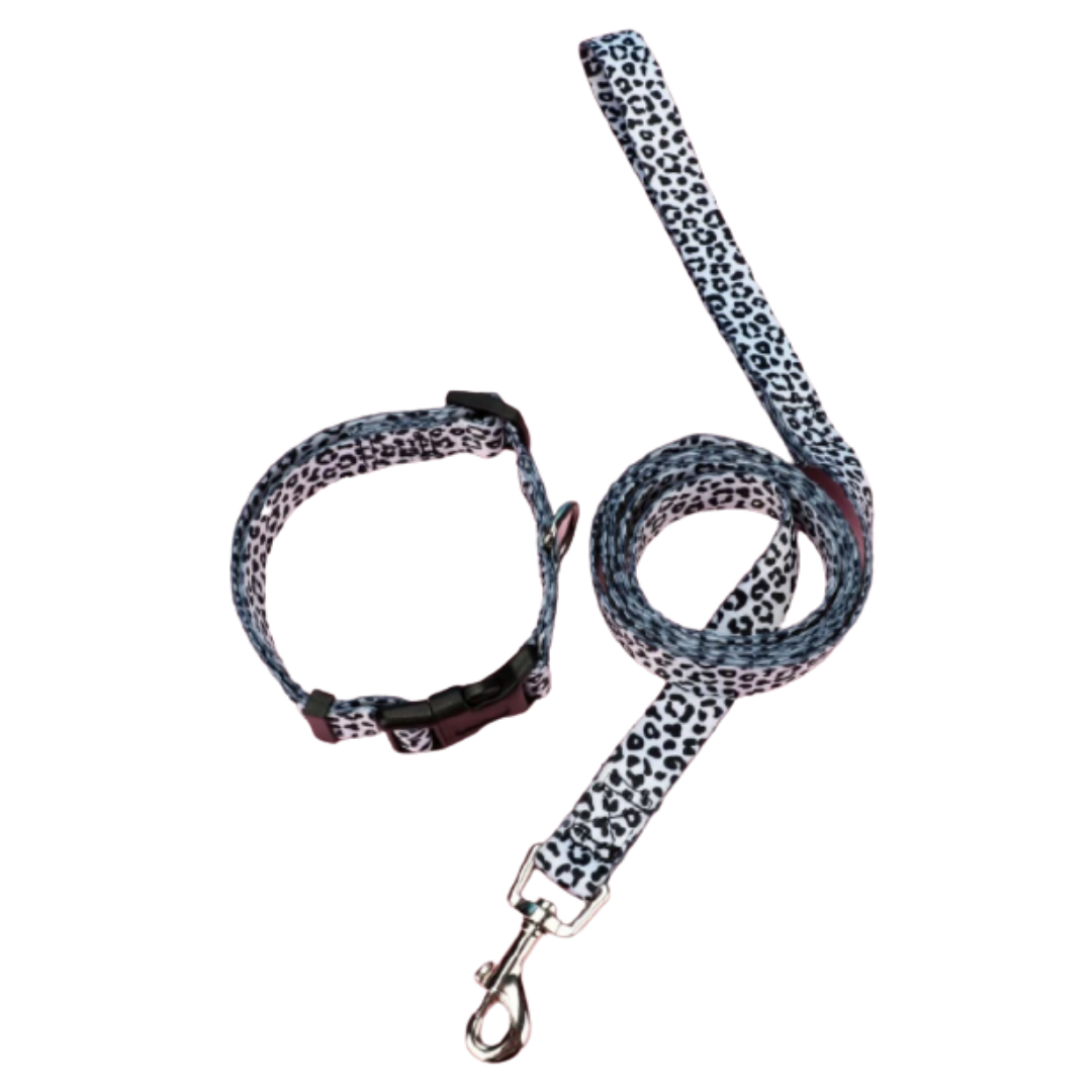 Conjunto Correa + Collar - Blanco y Negro