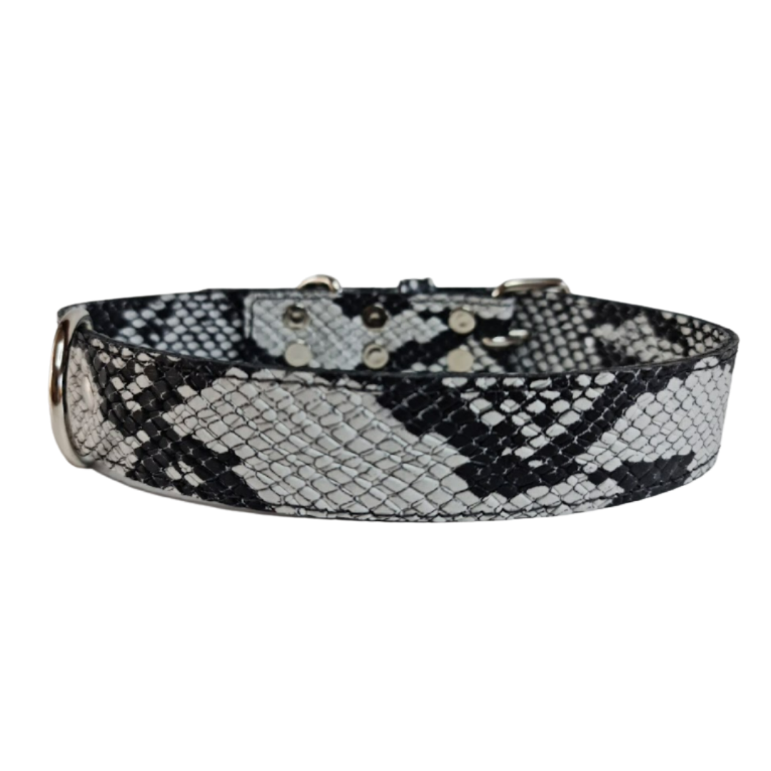 Collar de Cuero para perros - Serpiente Blanco y Negro hebilla nickel