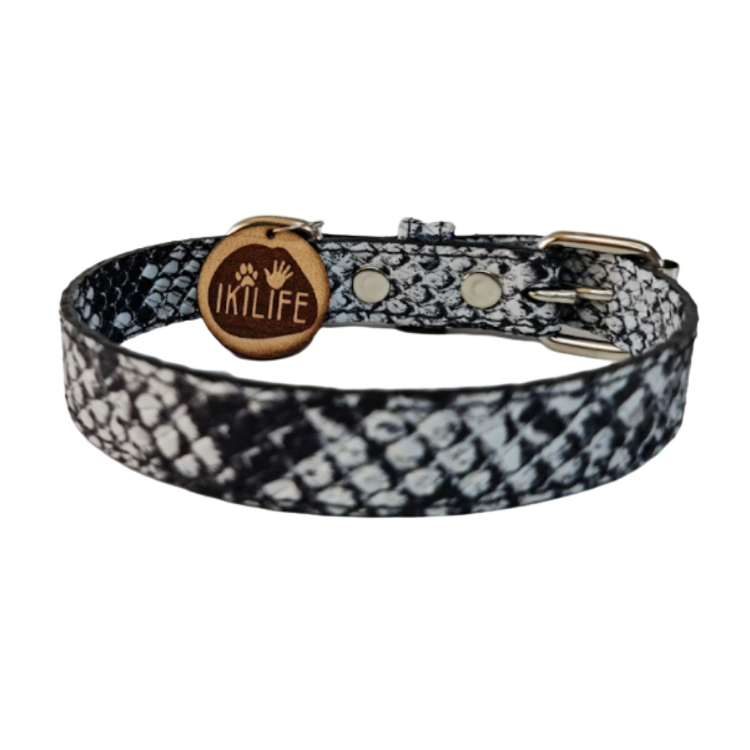 Collar de Cuero para perros - Serpiente Blanco y Negro hebilla nickel