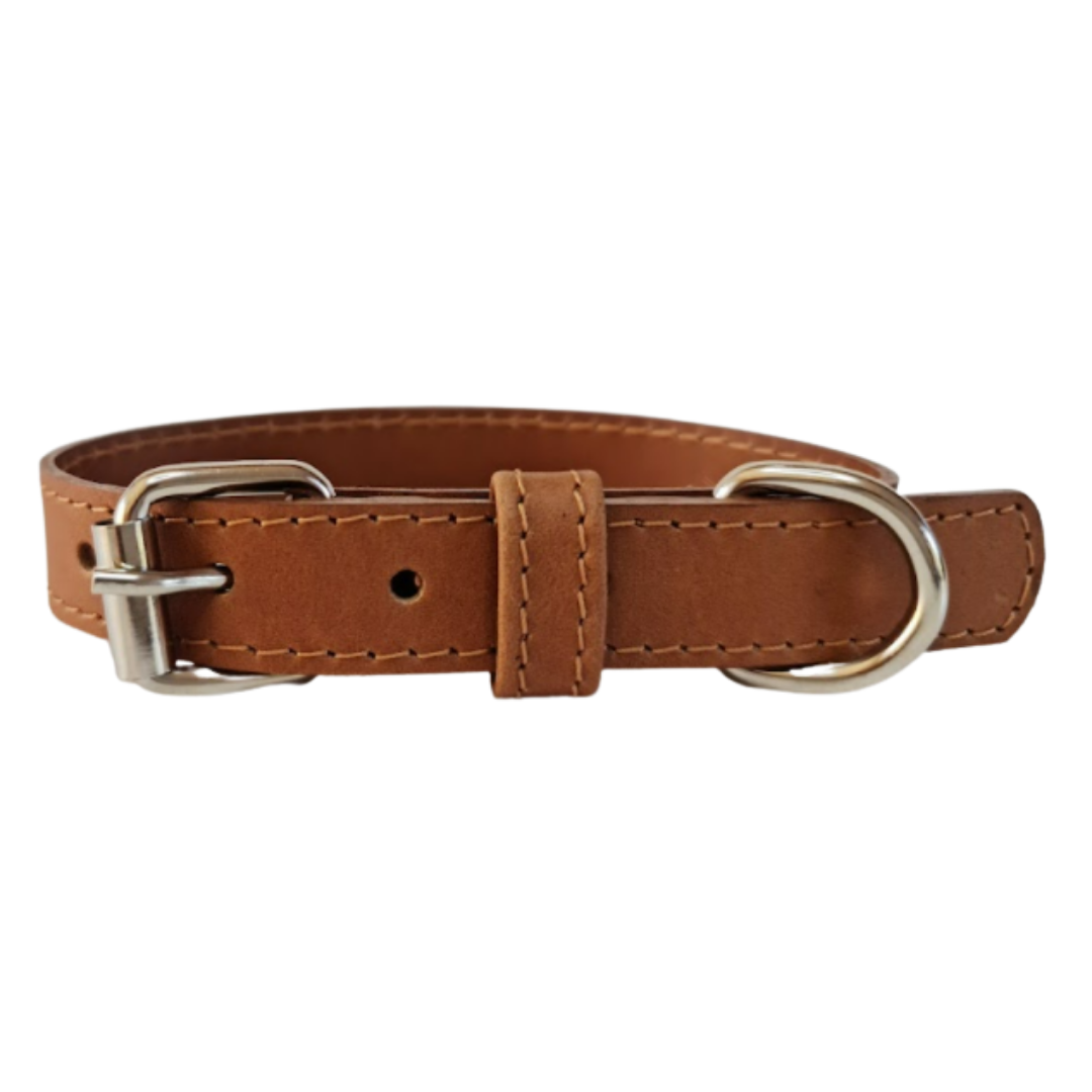 Collar de Cuero para perros - Camel hebilla Nickel