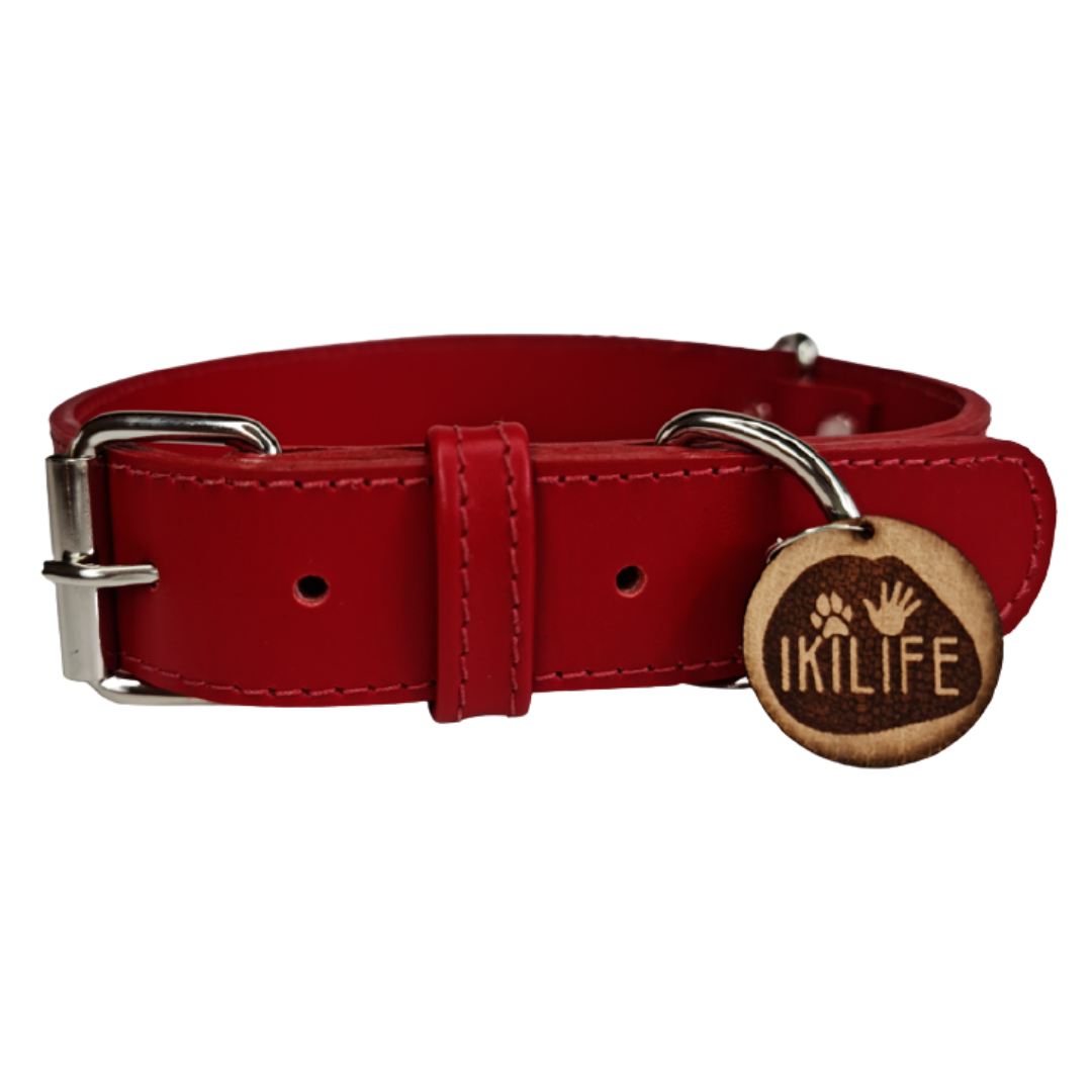 Collar de Cuero para perros - Rojo Liso hebilla nickel
