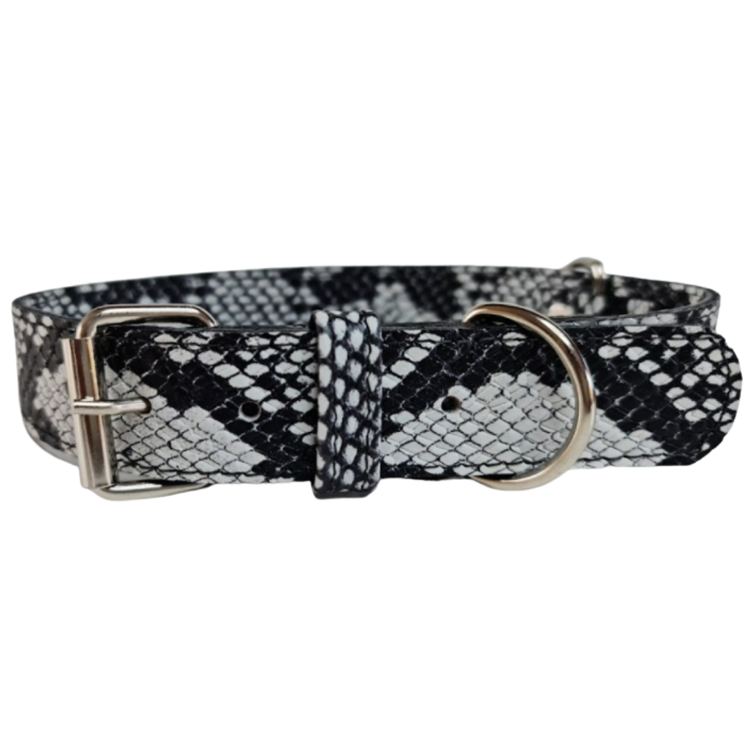 Collar de Cuero para perros - Serpiente Blanco y Negro hebilla nickel