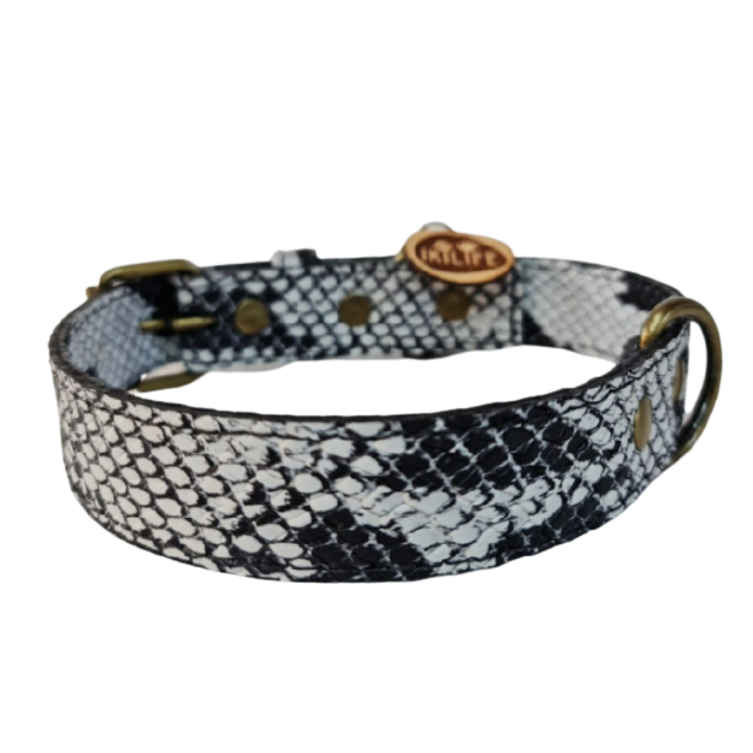 Collar de Cuero para perros - Serpiente Blanco y Negro hebilla envejecida