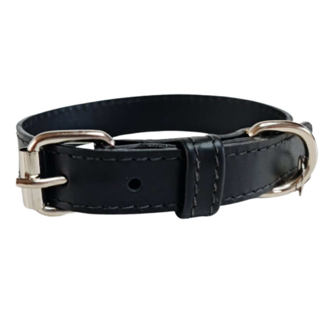 Collar de Cuero para perros - Negro Liso hebilla nickel
