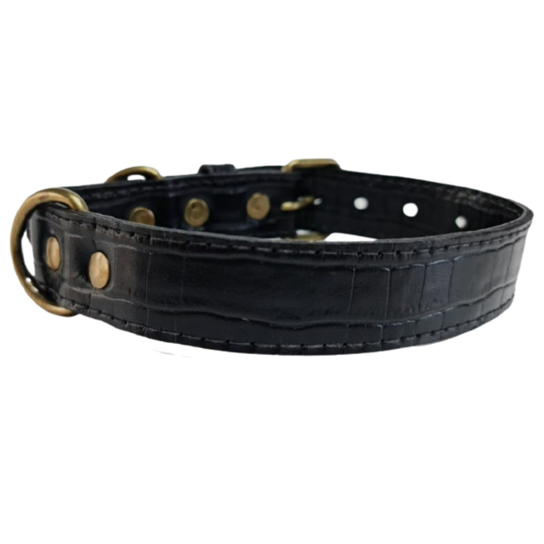 Collar de Cuero para perros - Cocodrilo Negro hebilla envejecida