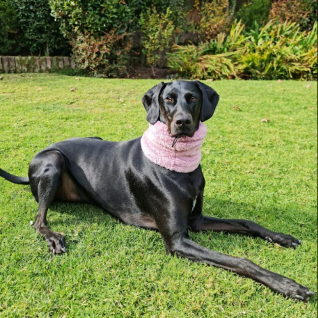 Cuello para Mascotas - Rosado