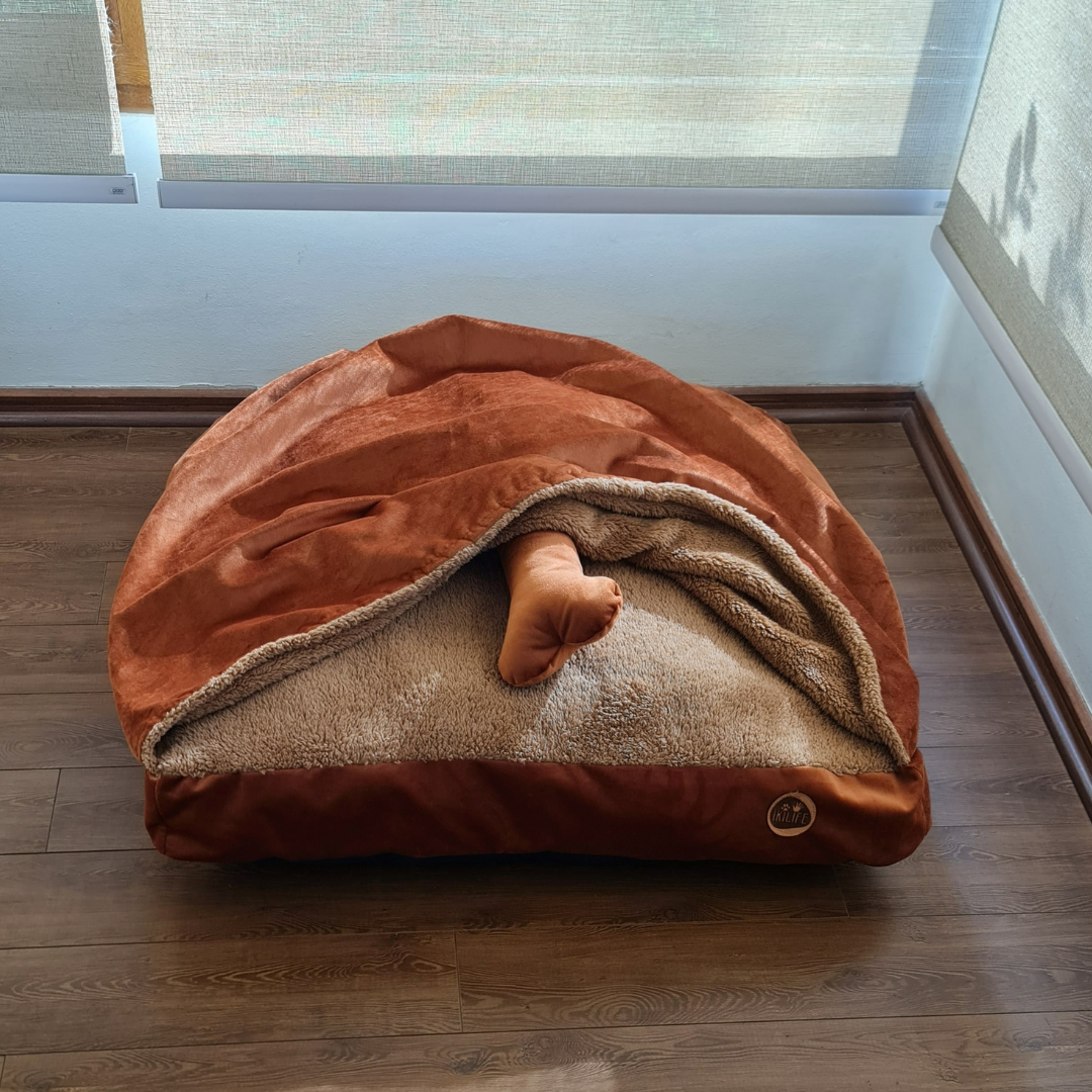 Funda para  Cama con Manta