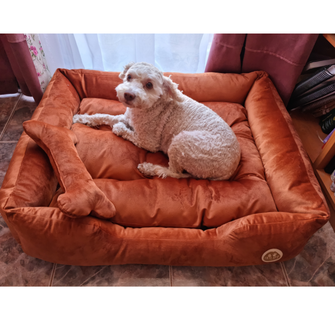 Cama Clásica Para Mascotas - Café