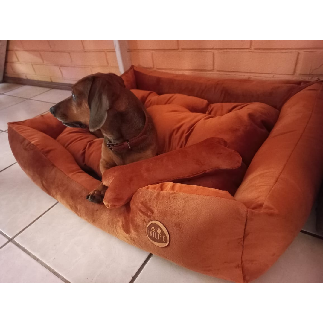 Cama Clásica Para Mascotas - Café