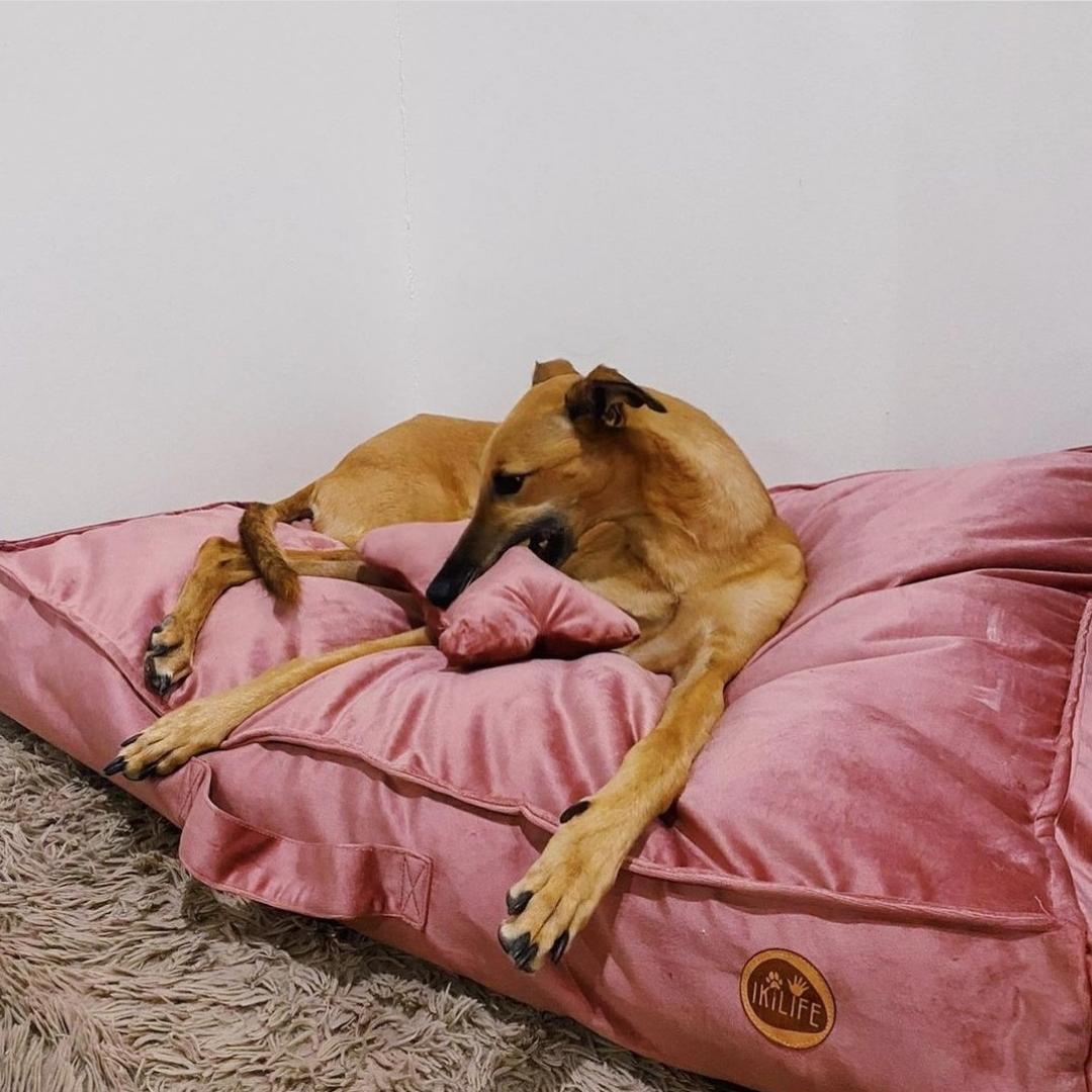 Funda para Cama Rectangular