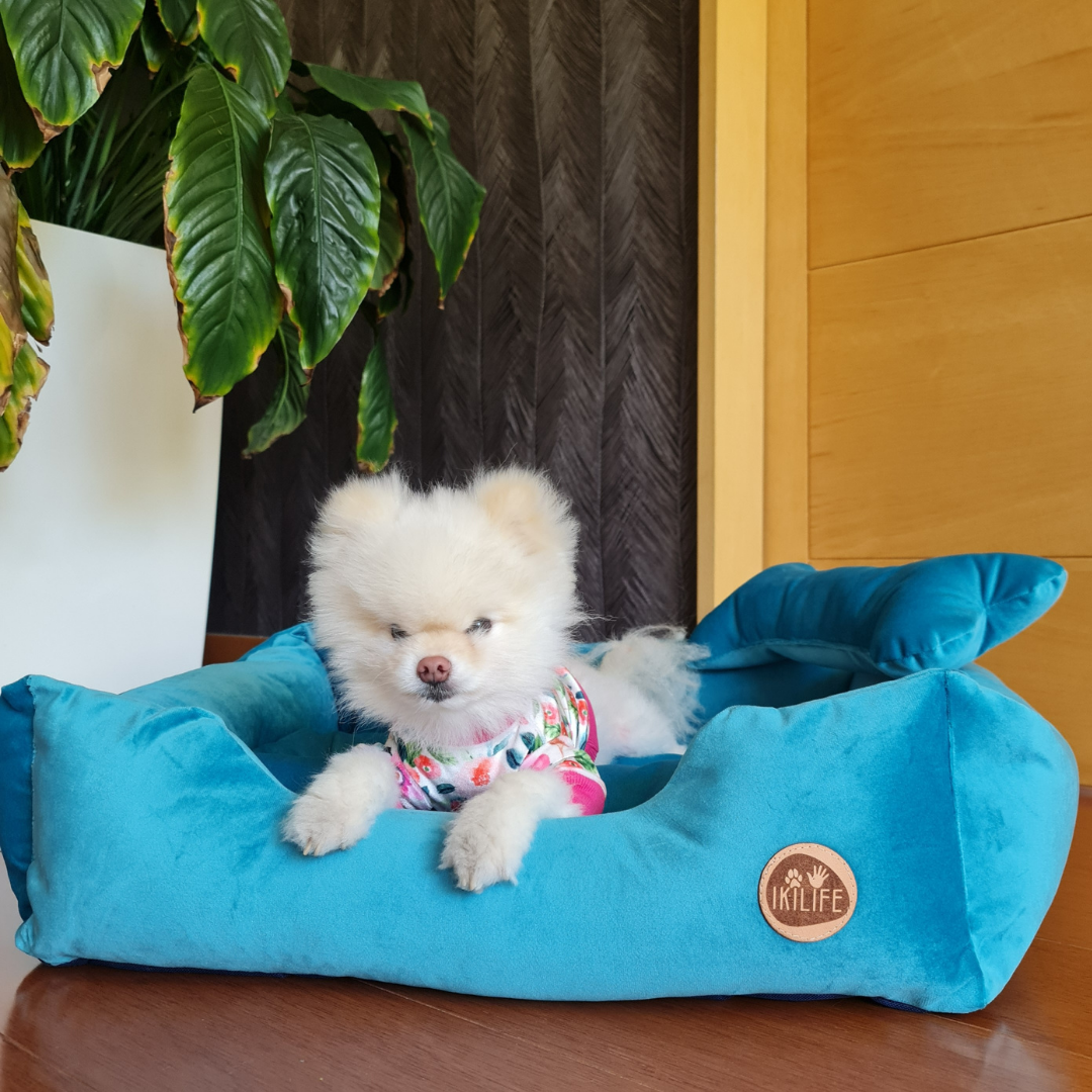 Cama Clásica Para Mascotas - Turquesa