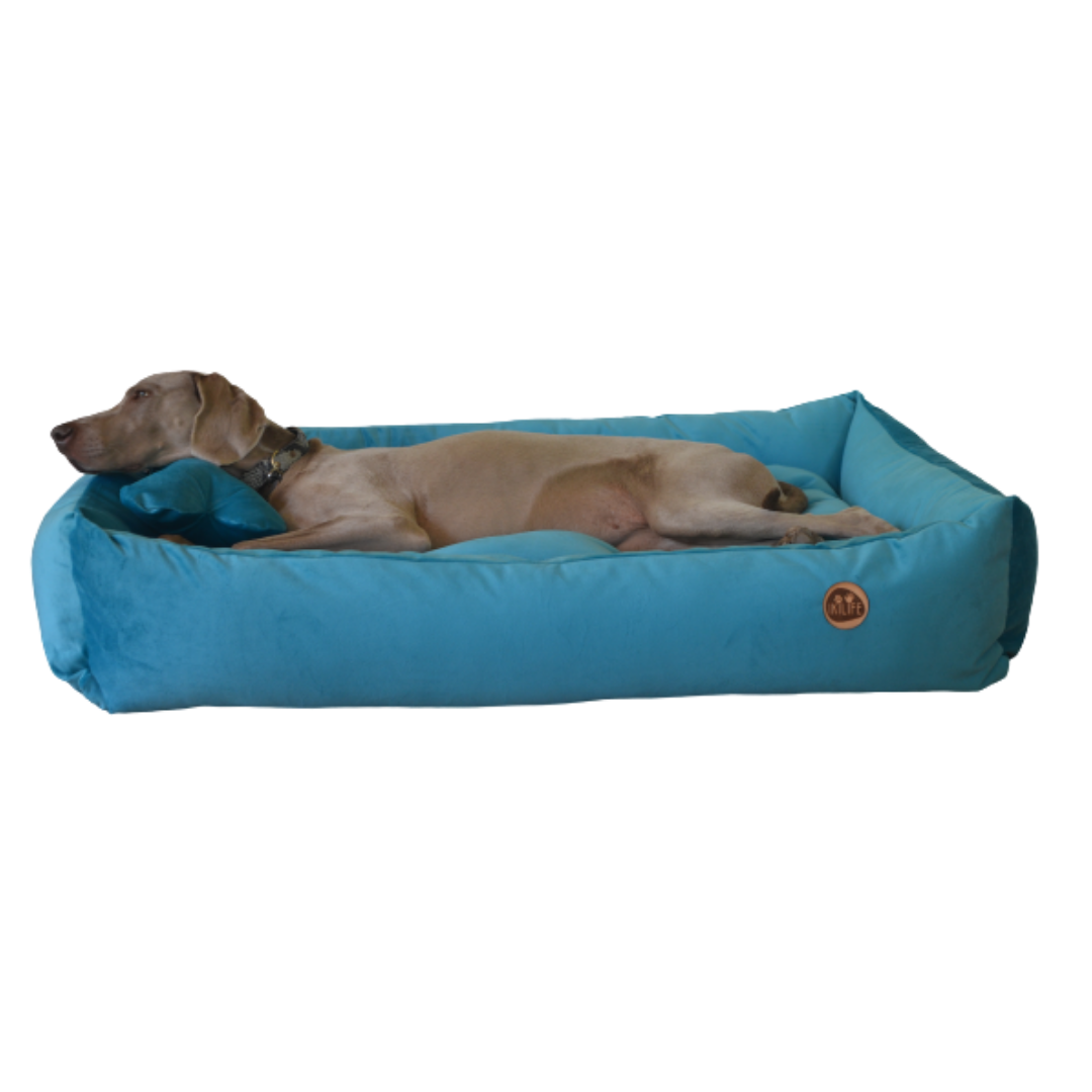 Cama Clásica Para Mascotas - Turquesa