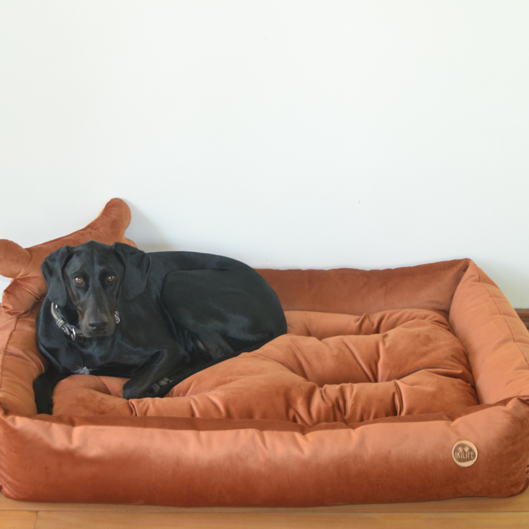 Cama Clásica Para Mascotas - Café