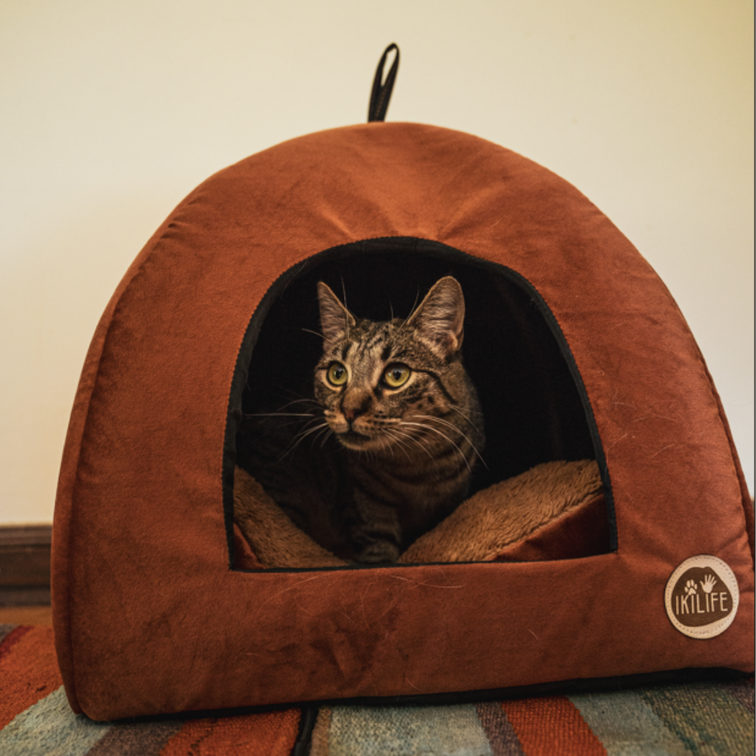 Cama Iglú para mascotas (41 x 41 cm)
