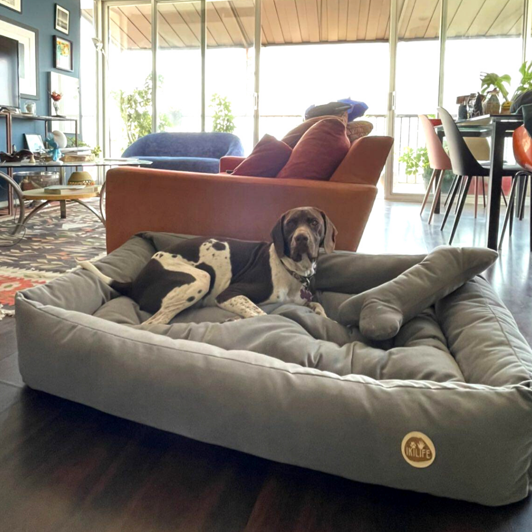 Cama Clásica Para Mascotas - Gris