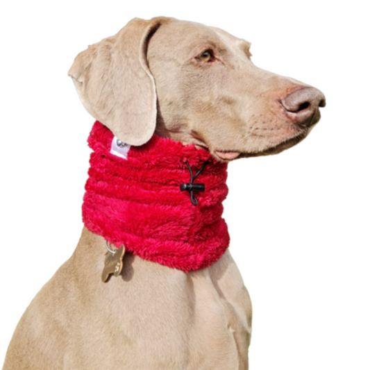 Cuello para Mascotas - Rojo
